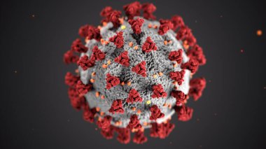Gri arkaplanda Coronavirus bakterisi, CDC tarafından oluşturulan özgür görüntü, özgür kamu imajı,