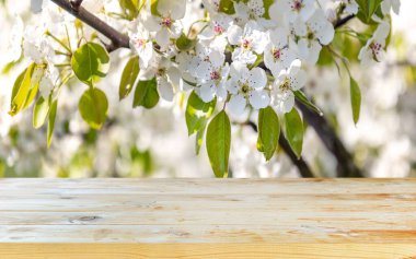 Bahar arkaplanı olan boş tahta masa arkaplanı