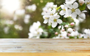 Boş eski tahta masa arkaplanı