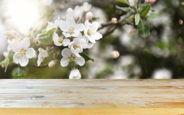 Boş eski tahta masa arkaplanı