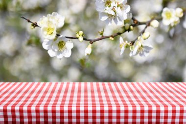 Boş işaretlenmiş eski tablo arkaplanı