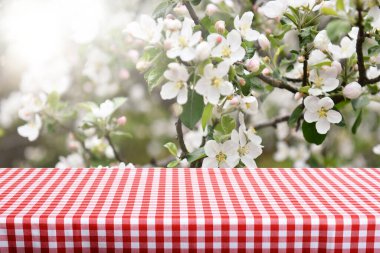 Boş işaretlenmiş eski tablo arkaplanı