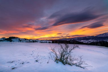 Güneş doğarken güzel kış manzarası