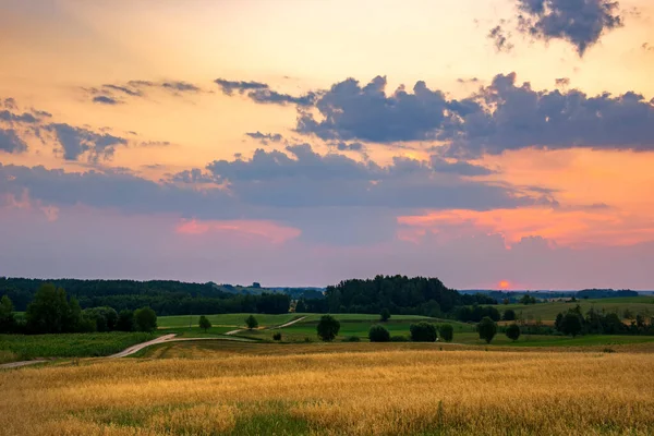 Güzel yaz günbatımı kırsalda