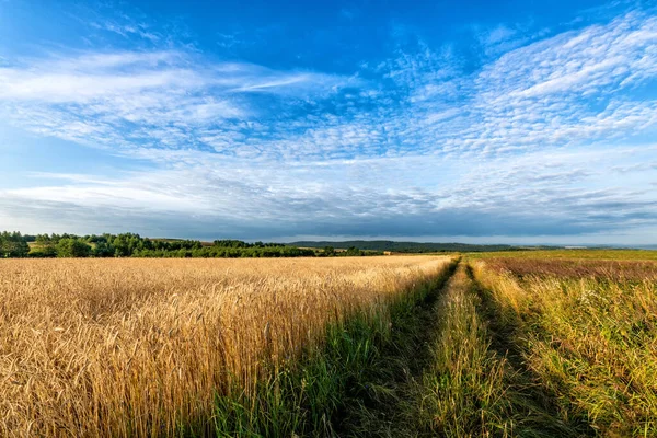 Bel Cielo Nuvoloso Sui Campi Estivi — Foto Stock