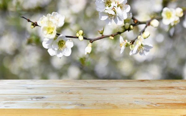 Boş eski tahta masa arkaplanı