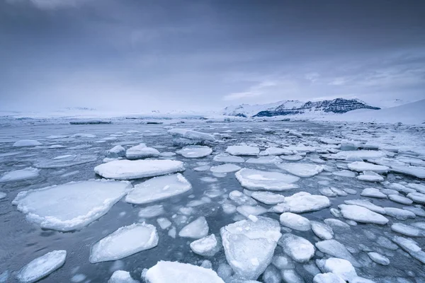İzlanda 'daki ünlü Jokulsarlon Körfezi