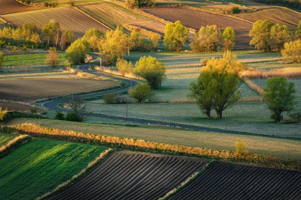 Herrlicher Sonnenuntergang Über Landwirtschaftlichen Feldern — Stockfoto