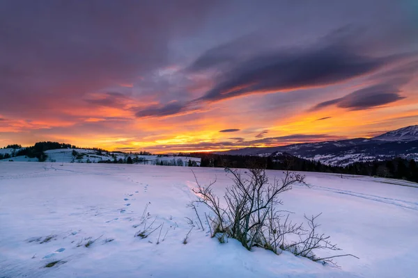 Güneş doğarken güzel kış manzarası