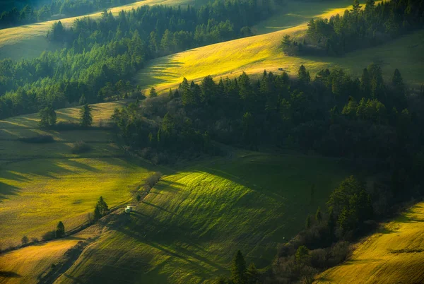 Прекрасний Весняний Пейзаж Зелених Луків — стокове фото