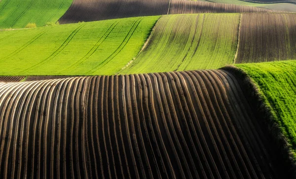 Beau Paysage Champs Labourés Durins Printemps — Photo