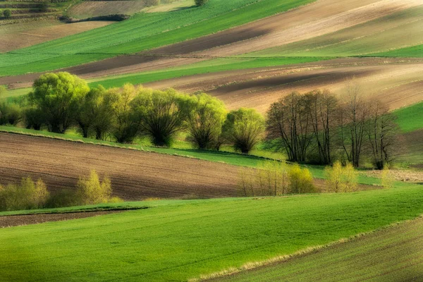 Schöne Landschaft Gepflügter Felder Frühling — Stockfoto