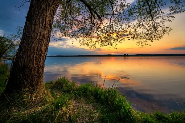 Hermosa Puesta Sol Verano Lago —  Fotos de Stock