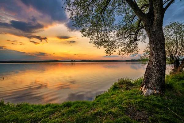 Vacker Sommar Solnedgång Vid Sjön — Stockfoto