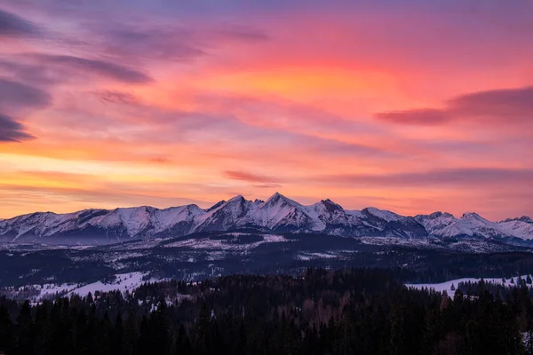 Kış boyunca dağların güzel manzarası - Polonya Tatraları