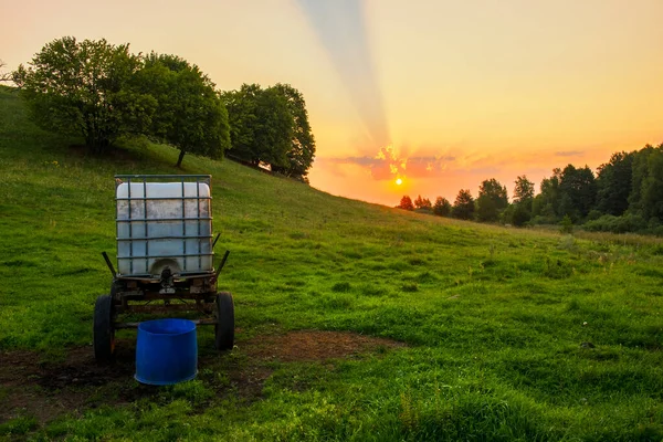 Beautiful Summer Sunset Green Fields — Stock Photo, Image