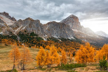 Sonbahar boyunca dağların güzel manzarası