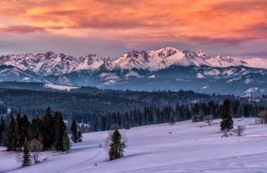 Kış boyunca dağların güzel manzarası - Polonya Tatraları