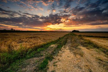 Güzel yaz günbatımı tarlaların üzerinde