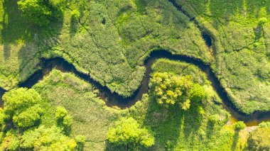 Hava manzarası - Yazın vahşi nehir