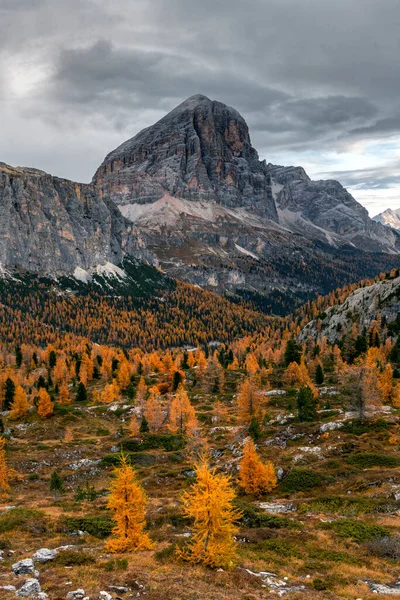 Красивый Пейзаж Гор Осенью — стоковое фото