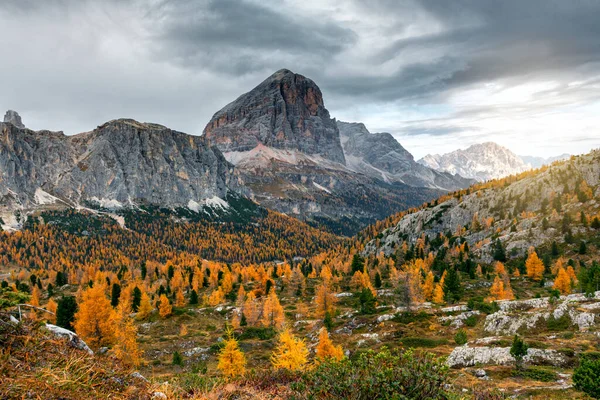Красивый Пейзаж Гор Осенью — стоковое фото