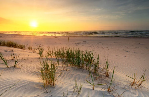 波罗的海海滩上美丽的夏日落日 — 图库照片