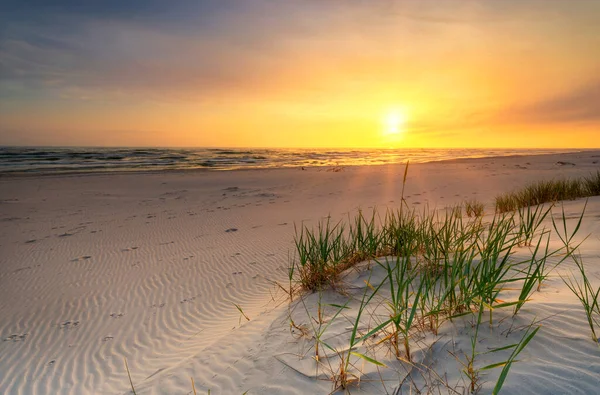 Belo Pôr Sol Verão Sobre Praia Mar Báltico — Fotografia de Stock