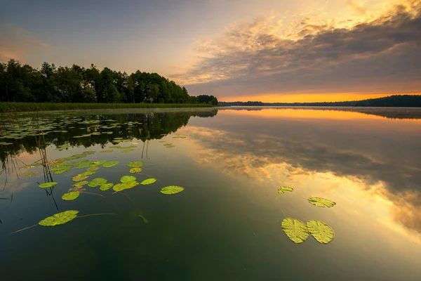 Vacker Sommar Solnedgång Vid Sjön — Stockfoto