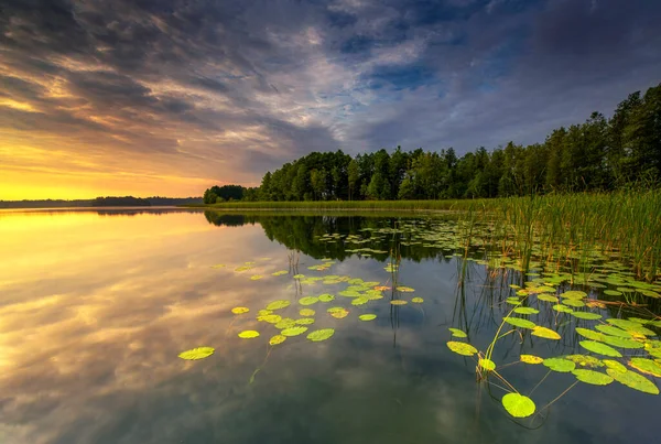 Beau Coucher Soleil Été Lac — Photo