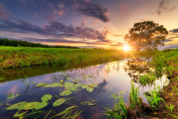 Hermoso Río Natural Durante Puesta Del Sol — Foto de Stock