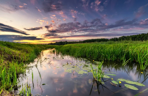蓮の葉と緑の芝生の池の上に夕日の空 — ストック写真