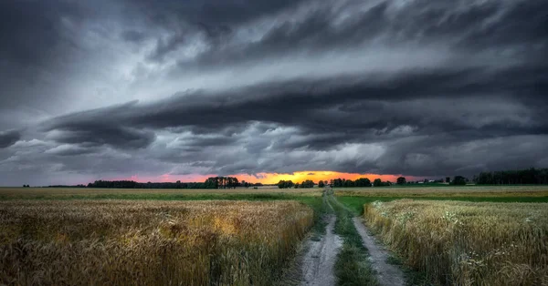 Uitzicht Een Grasveld Een Bewolkte Stormachtige Dag — Stockfoto