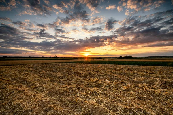 Hermoso Atardecer Verano Sobre Campos — Foto de Stock