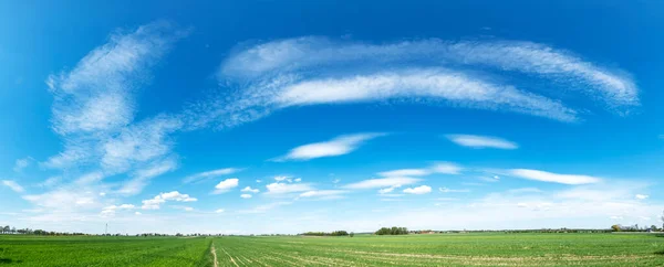 Hermosas Nubes Blancas Sobre Cielo Azul Plano Panorámico — Foto de Stock