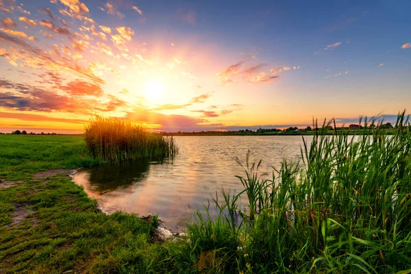 Belo Pôr Sol Verão Lago — Fotografia de Stock