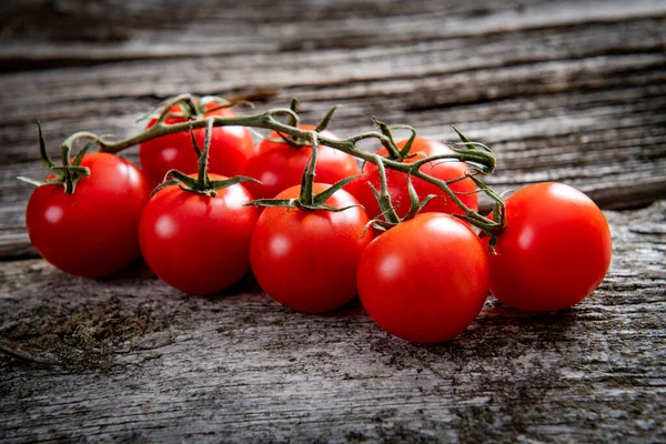 Ramo Pomodori Freschi — Foto Stock