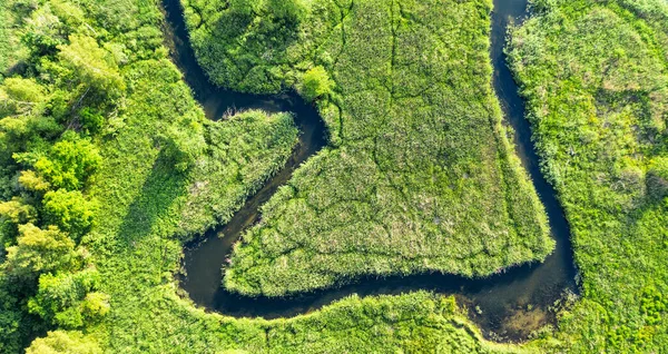 Aerial Landscape Wild River Summer — Stock Photo, Image