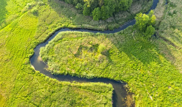 Aerial Landscape Wild River Summer — Stock Photo, Image