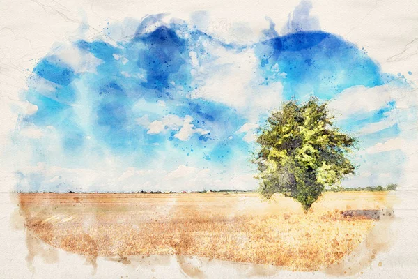 Одинокое Дерево Полях Над Голубым Облачным Небом Изображение Водяной Боли — стоковое фото
