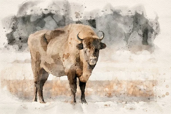 European Bisons Bison Bonasus Waterpaint Image — Stock Photo, Image