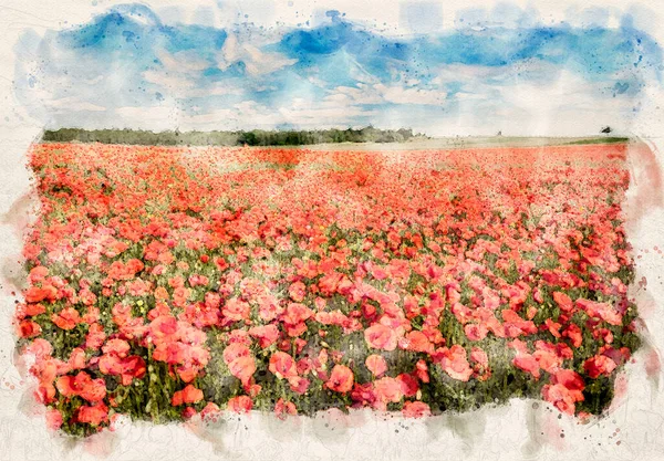 Beautiful Summer Day Poppy Field Waterpaint Image — Stock Photo, Image