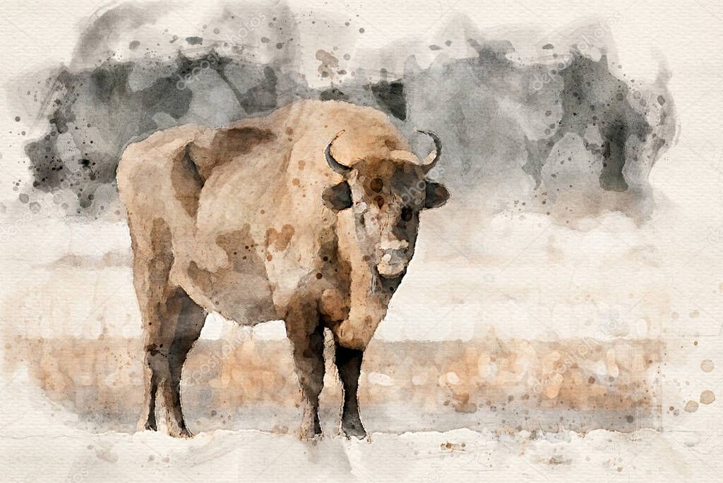European bisons (Bison bonasus) waterpaint image