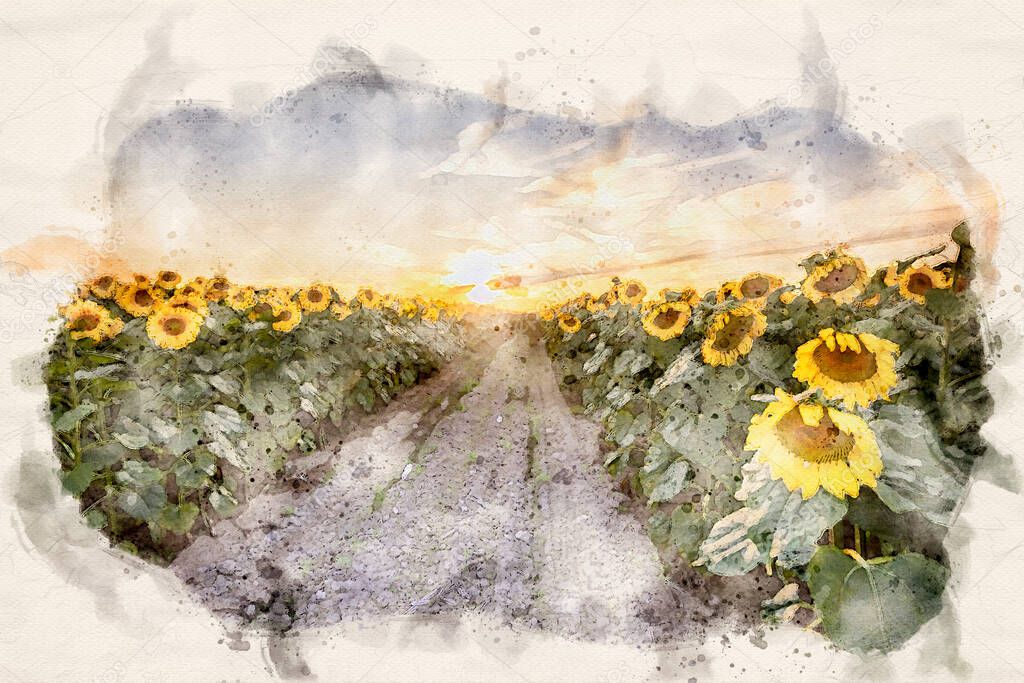 Sunflowers field waterpaint image