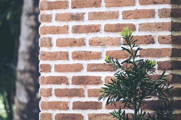 Una Pared Ladrillo Con Fondo Árbol Naturaleza Verde —  Fotos de Stock