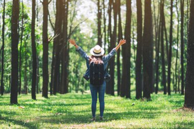 Sırt çantası ve şapkası olan Asyalı bir gezgin güzel bir çam ormanında kollarını açmış bekliyor.