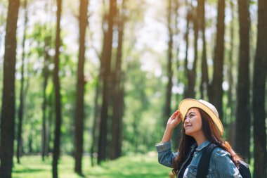 Şapkası ve sırt çantasıyla güzel bir çam ormanına bakan Asyalı bir kadın gezgin.