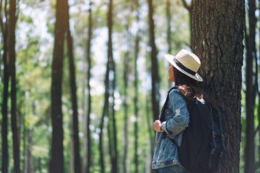 Şapkası ve sırt çantasıyla güzel bir çam ormanına bakan Asyalı bir kadın gezgin.