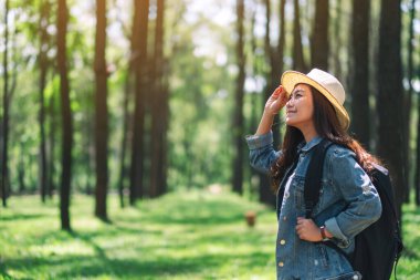 Şapkası ve sırt çantasıyla güzel bir çam ormanına bakan Asyalı bir kadın gezgin.