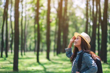 Şapkası ve sırt çantasıyla güzel bir çam ormanına bakan Asyalı bir kadın gezgin.